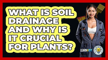 What Is Soil Drainage And Why Is It Crucial For Plants? - LearnToDIY360.com