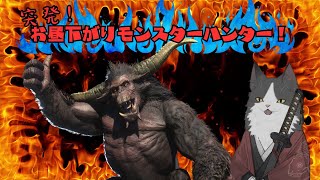 【モンスターハンター】一気にストーリー進めたい【僕はアイルーじゃない】