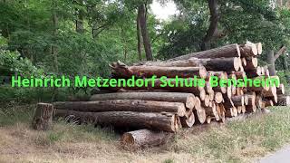 Ausbildung Tischler Schreiner Heinrich Metzendorfschule Bensheim Bgj Holztechnik