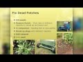 OSU Master Gardener: Lawn Care