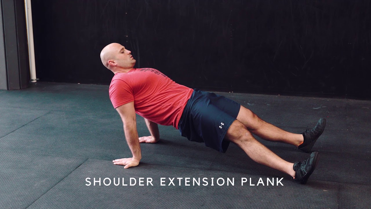 travis mayer colorado Horizontal Spine Suspended: Breathing (3/8) - TTT Movement Archive