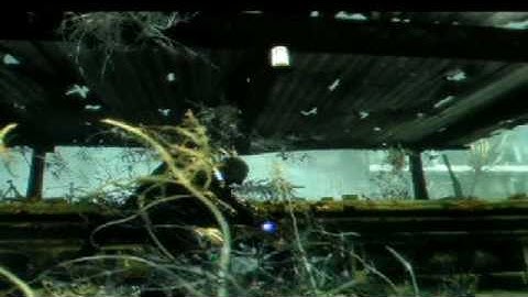 GEARS OF WAR 2 glitch ( FIRST EVER FORCE MOUNT ) glitches