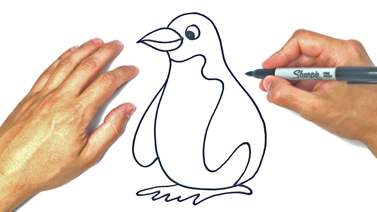 Pinguinos para dibujar