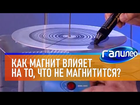 Галилео | Эксперимент 🧲 Как магнит влияет на то, что не магнитится?