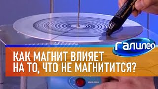 Галилео | Эксперимент 🧲 Как Магнит Влияет На То, Что Не Магнитится?