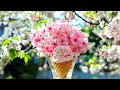 Find Calm In Minutes With Most Peaceful Piano Music Ever рџЊё Calming Music For Stop Overthinking рџЊ Find Calm In Minutes With Most Peaceful Piano Music Ever рџЊё Calming Music For Stop Overthinking рџЊ