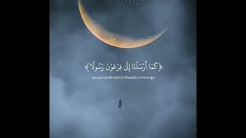 تلاوات خاشعة لجميع القرآء على قناة تلاوات خاشعة وتلاوات هادئه #تلاوات #خاشعة #قرآن #تلاوات_هادئه(3)