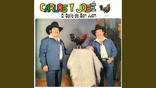 Video thumbnail of "Carlos y Jose - El Pavido Navido"