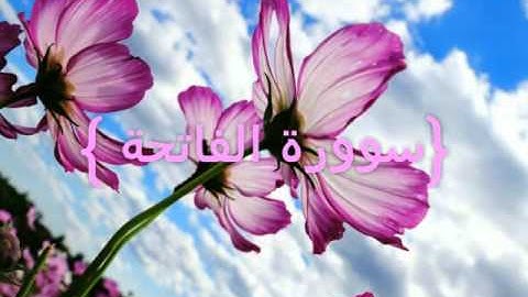 سورة الفاتحه