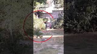 Entonces Esa Historia Era Real...