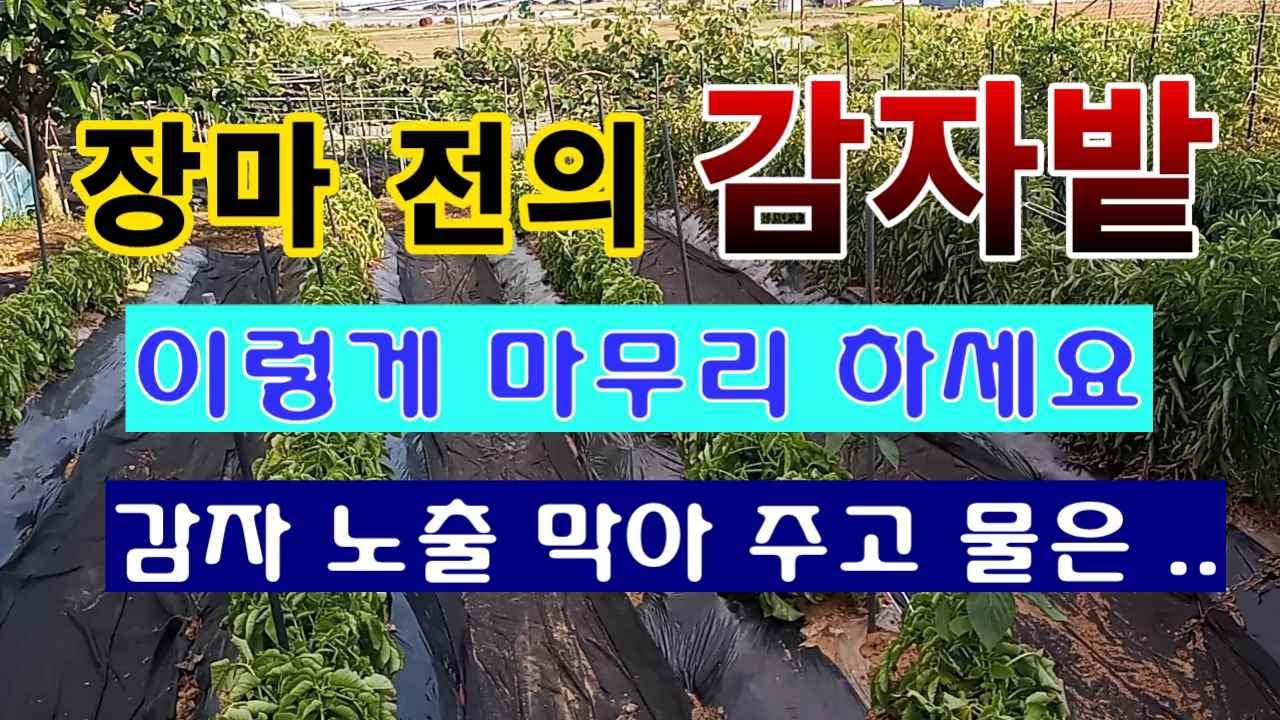 日 오키나와 장마 시작, 곳곳 호우...우리나라 장마는? / YTN