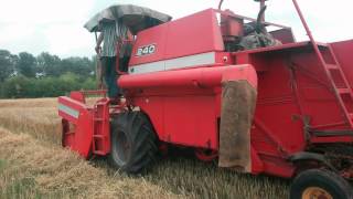 Уборка пшеницы и ячменя 2015 г. Комбайн Massey Ferguson 240