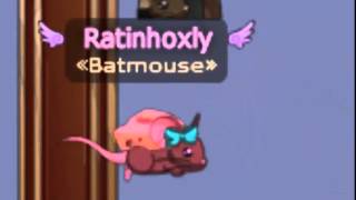 SONYMICE - Ratinhoxly Racing #1 (Loigee Returns)