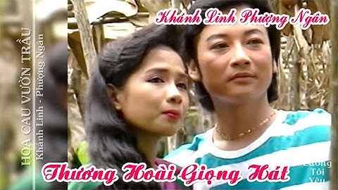 HOA CAU VƯỜN TRẦU | Khánh Linh ca tân cổ với Phượng Ngân quá hay | Cải Lương Tôi Yêu