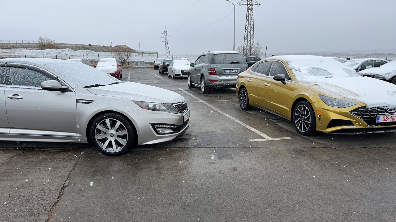 Авто риник грузия