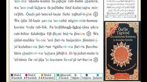 ختمة من مصحف التجويد باللغة الألمانية الصفحة رقم 240