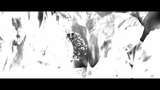 Elemental shift - Echo Point Nova OST
