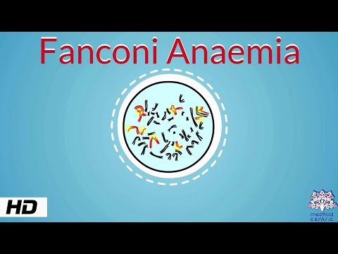 Video: Fanconi-anemi: Symptom, Diagnos, Behandling, Orsaker