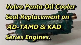🛠️ Volvo Penta Oil Cooler Seal Replacement | AD, TAMD & KAD Series Engines