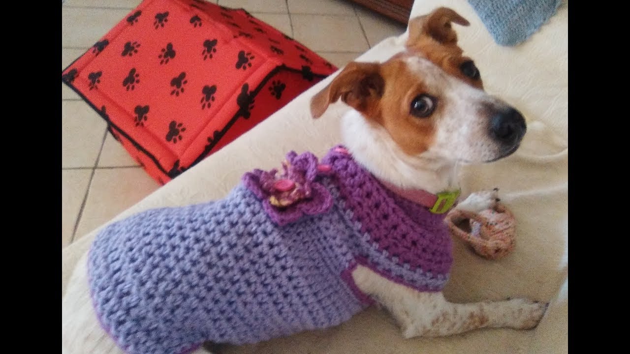 25 Crochet Dog Sweater Any Size Tutorial Youtube Crochet Dog Sweater Dog Sweater Diy Dog Sweater 25 Crochet Dog Sweater Any Size Tutorial Youtube Crochet Dog Sweater Dog Sweater Diy Dog Sweater