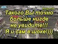 Это надо видеть- аукцион цветов в Голландии!