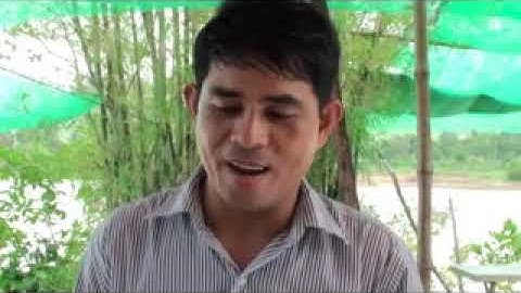 Bắt được cặp Rắn hổ mây khủng ở An Giang