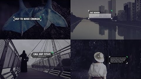Modern Callout Titles After Effects Templates