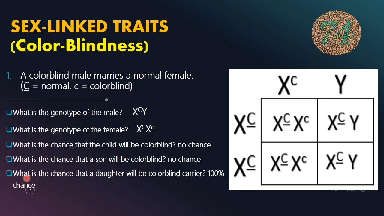 Sex Linked Traits Color Blindness With Punnett Square Youtube