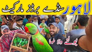 UItimate Guide To Lahore Sunday Bird Market Locations And Full Week Timings 29-3-2026 #birds #pets