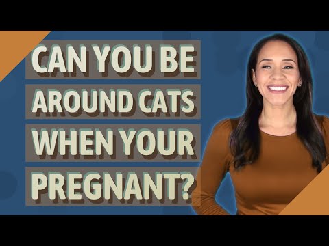 Can you be