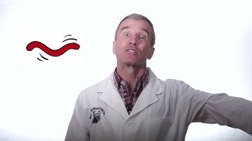 bs419 IP Streaming vs. the SDI Empire