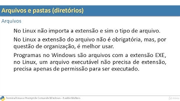 Terminal Linux e Prompt de Comando do Windows - Arquivos e pastas (diretórios)