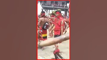 pasukan merah suku dayak kalimantan.#short