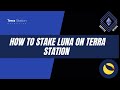 How to Stake Luna on Terra Station - Tutorial 2021