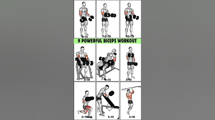 9 Powerfull Dumbbell Biceps Workout to Transform Arms | #workout #bicepsworkout