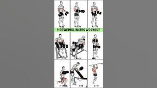 9 Powerfull Dumbbell Biceps Workout to Transform Arms | #workout #bicepsworkout
