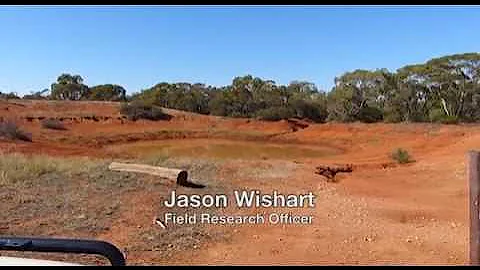 Choosing feral pig baiting sites: Part 2 Waterpoints