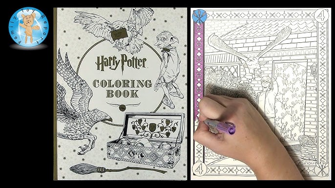 Harry Potter Coloring Book 