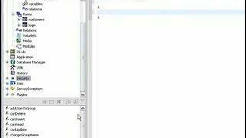 Servoy 4 - How To Use Security Part 1b