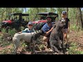Hunting Australia's most dangerous pigs with Bush Pirates part 1