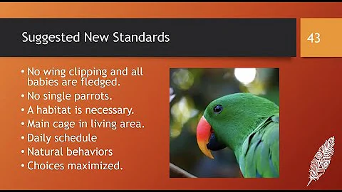 Progressive Parrot-Keeping with Pamela Clark, CPBC