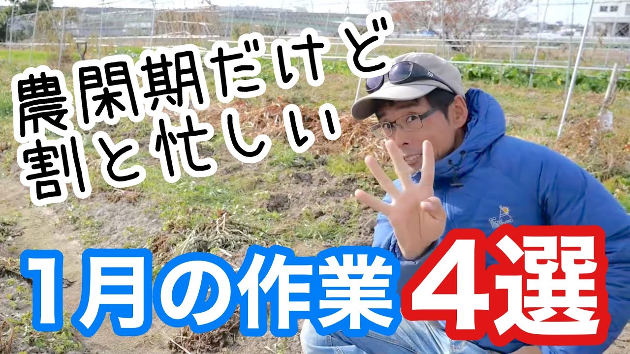 【自然農】自給農家庭菜園1月の畑作業4選《無農薬/無施肥/冬/ビニールハウス/農具/農機具/手入れ》
