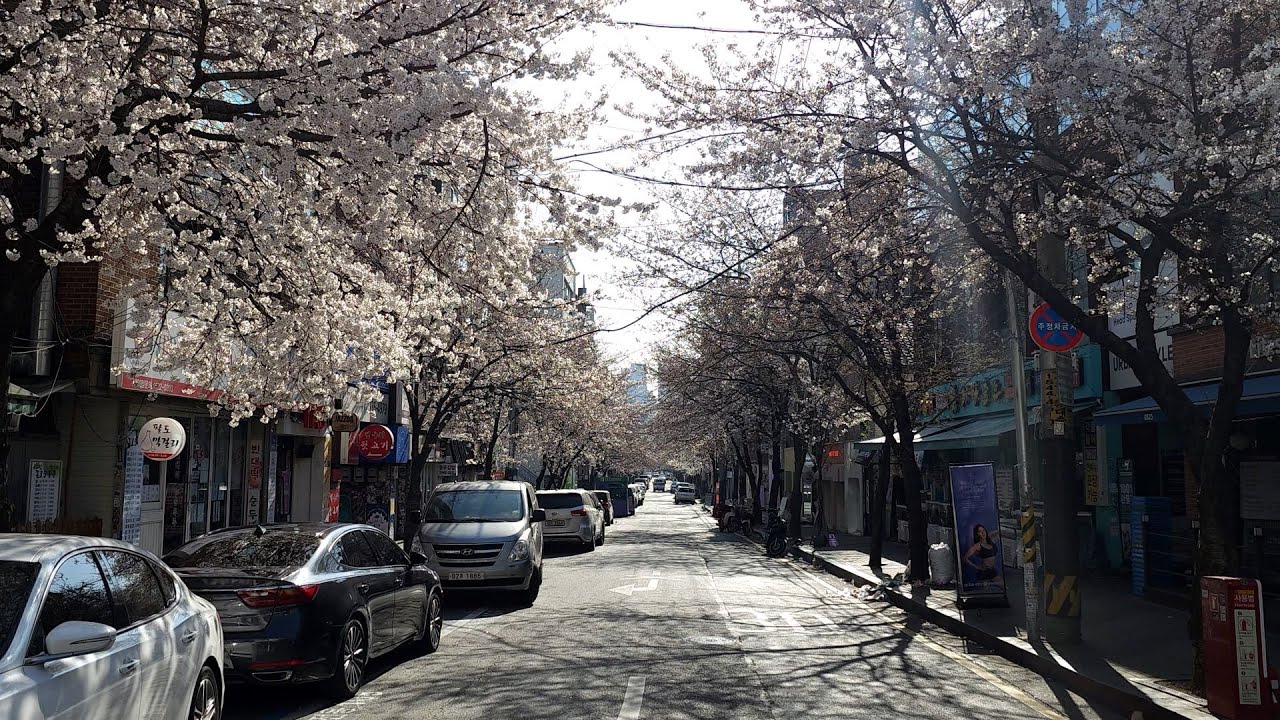 상수동문고 사진