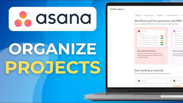 Asana Custom Fields How To Organize Your Asana Projects