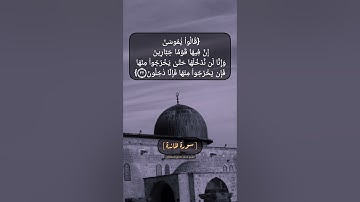 سورة المائدة الآية ٢٠ الى ٢٢ بصوت الشيخ محمد صديق المنشاوي