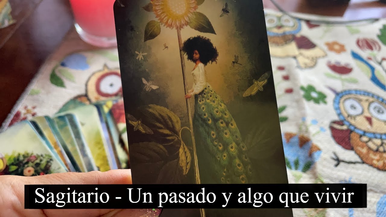 SAGITARIO / EL UNIVERSO TE DA UNA NUEVA OPORTUNIDAD! 💫💏 - YouTube