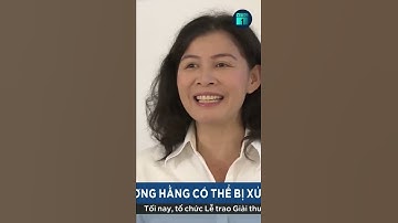 Nhà báo Hàn Ni: Bà Phương Hằng nói rất kinh khủng về tôi | VTC1