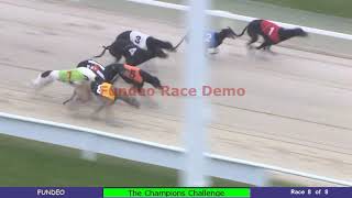 Virtual Race Night Dog - Greyhound Race screenshot 3