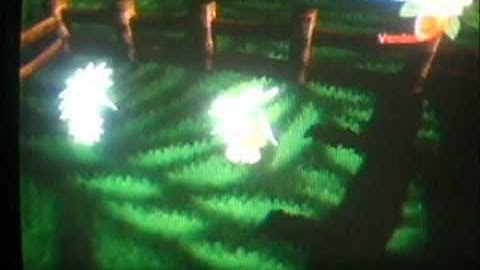 como evolucionar piñatas en viva piñata