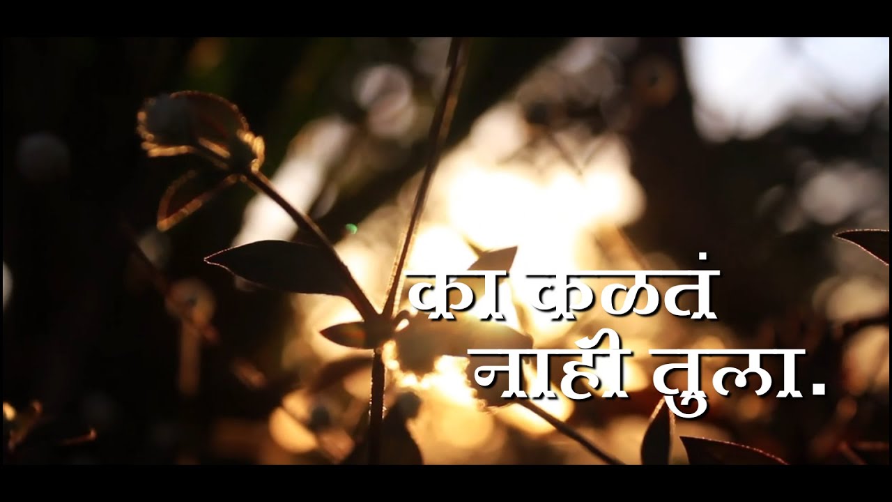 Ka Kalat Nahi Tula |  Marathi Status Emotional | Heart Touching?Sad Status❤️Shree Creation